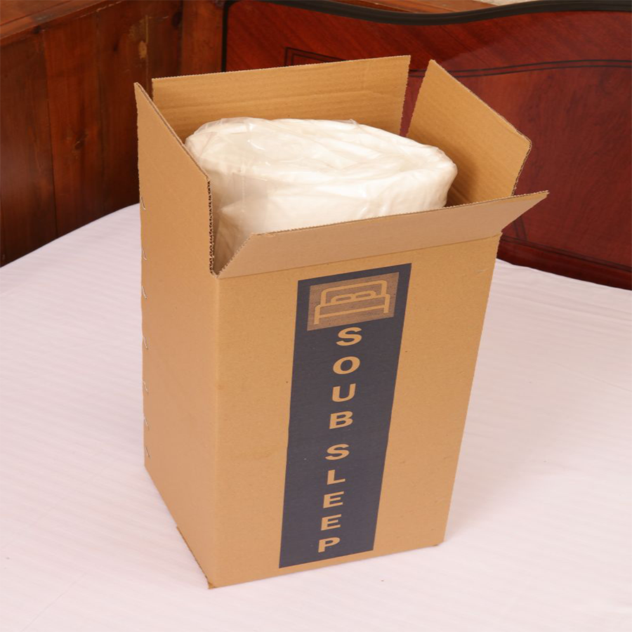 Soub Sleep Aloevera Medical Orthopädisches Visco-Kissen 38x65 cm